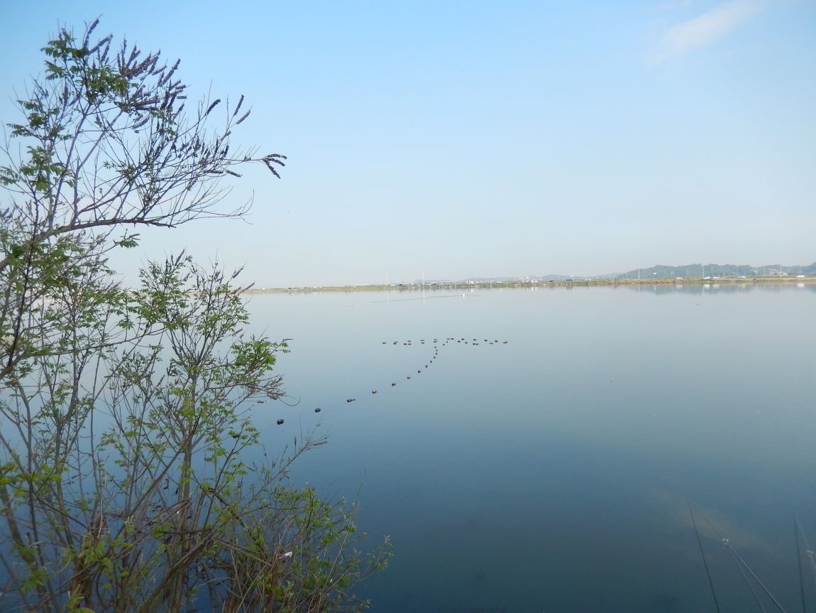 ����ȣ ��긮20150510 005.jpg