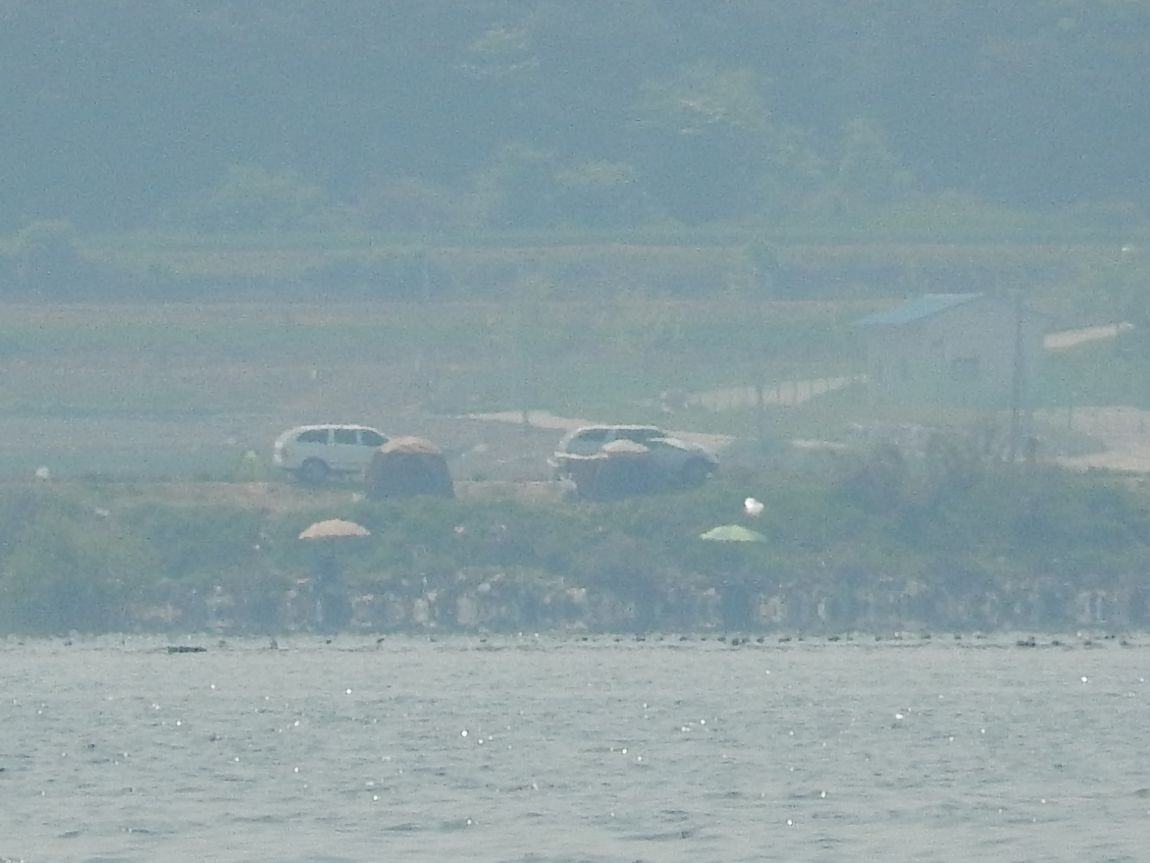 ����ȣ ��긮20150510 006.jpg