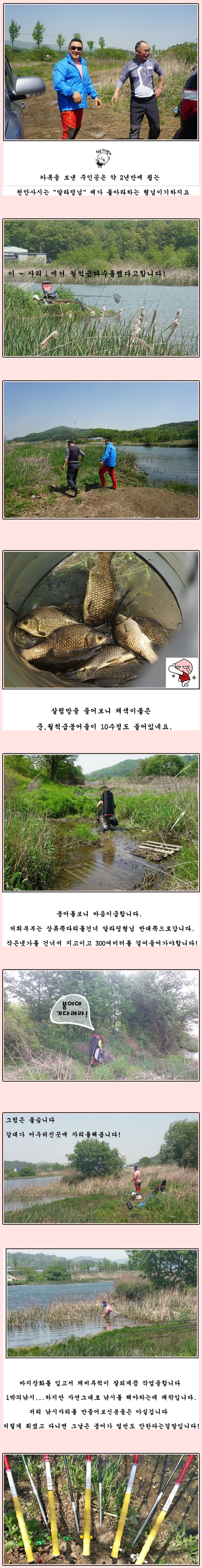 cats (2)-vert-vert.jpg