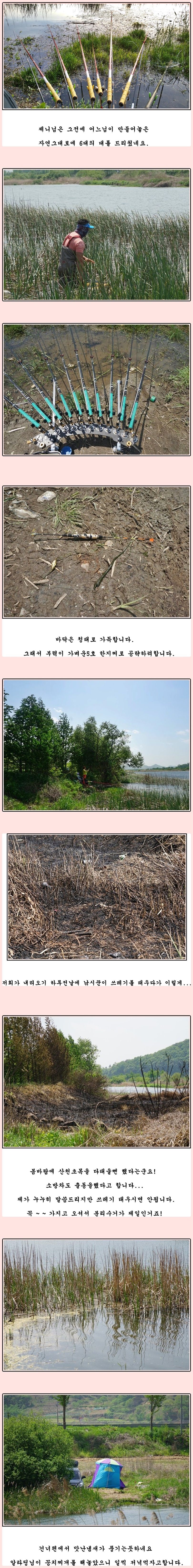 cats (11)-vert-vert.jpg