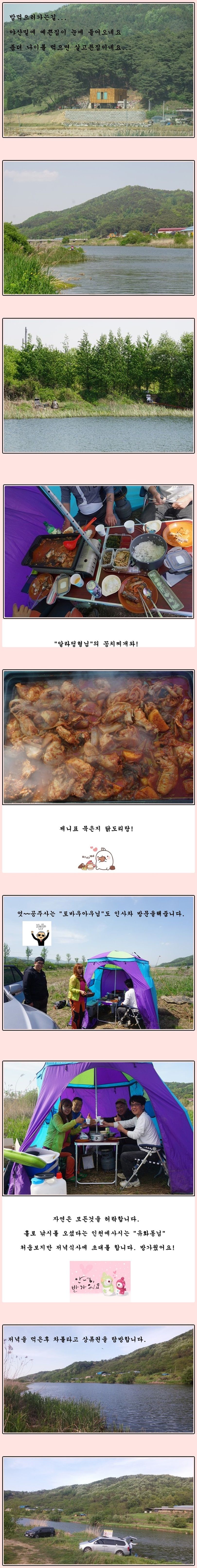 cats (20)-vert-vert.jpg