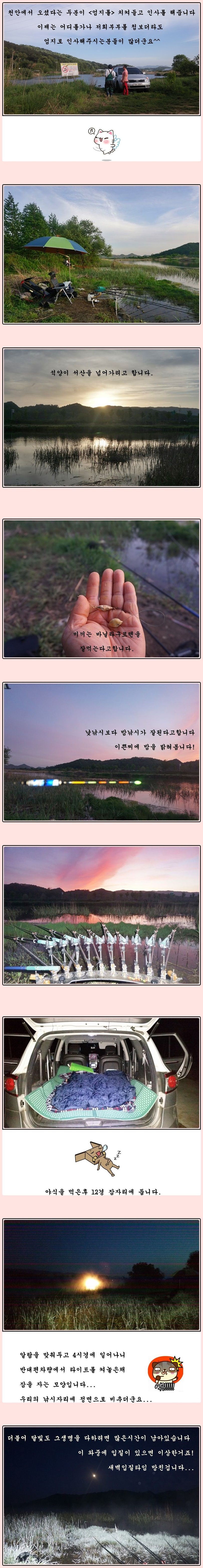 cats (29)-vert-vert.jpg