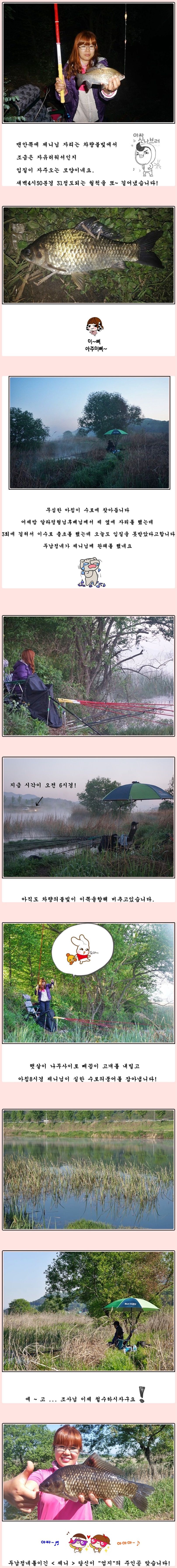 cats (41)-vert-vert.jpg