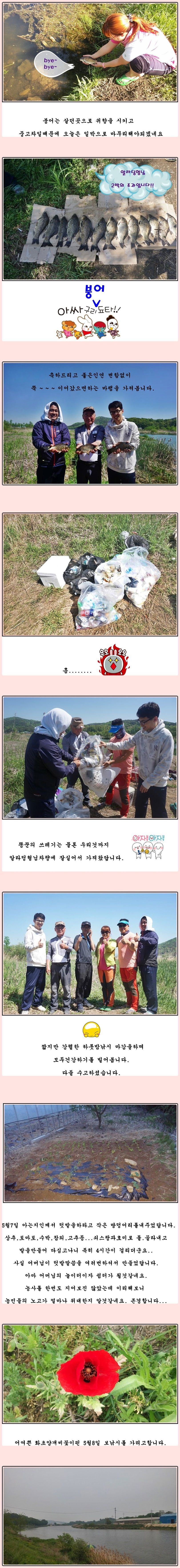 cats (50)-vert-vert.jpg