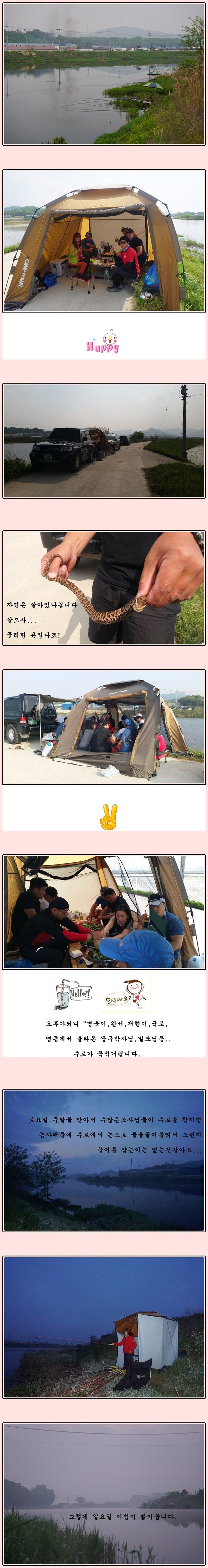 cats (77)-vert-vert.jpg