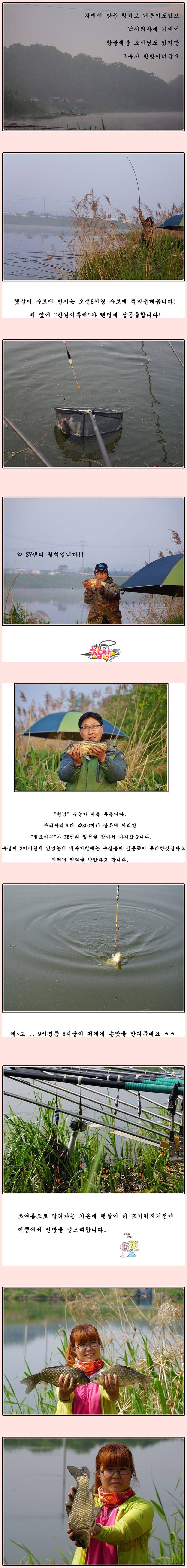 cats (86)-vert-vert.jpg