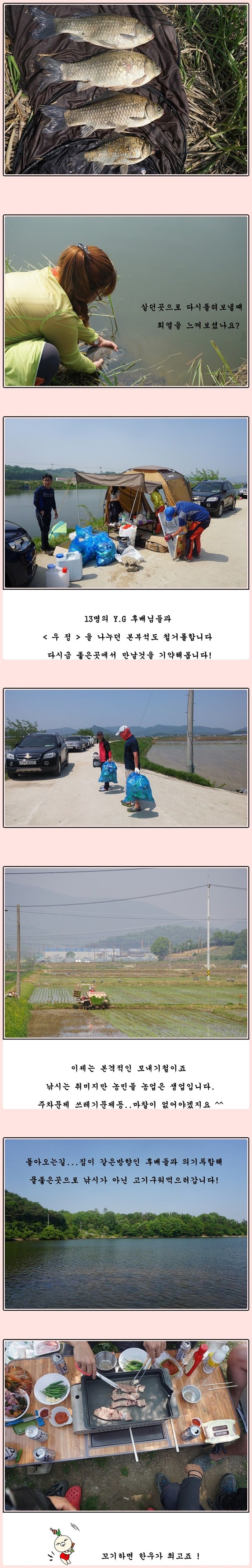 cats (95)-vert-vert.jpg