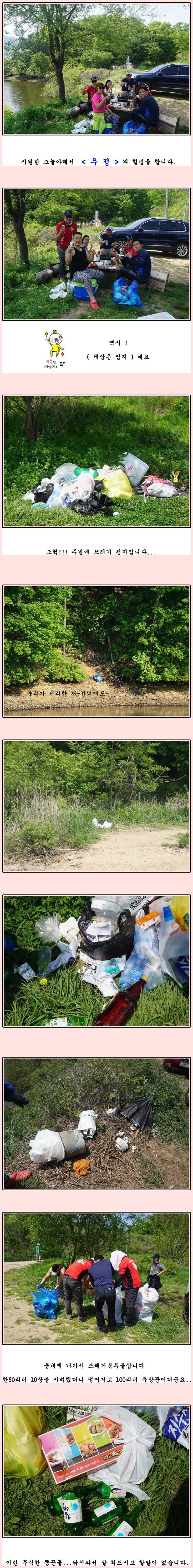 cats (102)-vert-vert.jpg