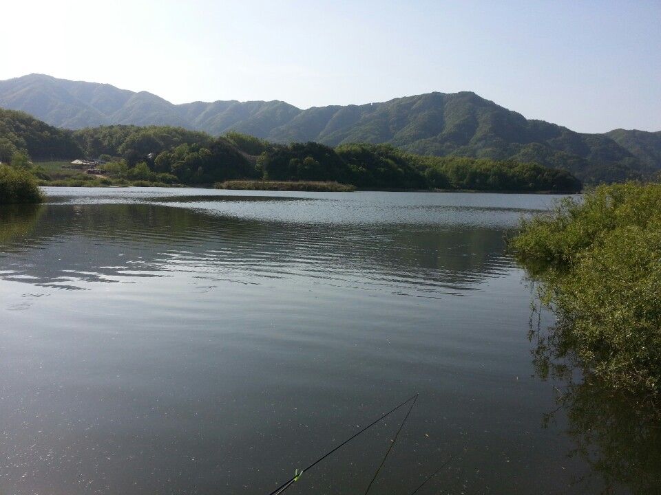 KakaoTalk_20150512_154255799.jpg