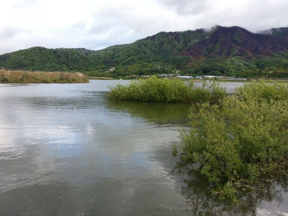 KakaoTalk_20150512_154253946.jpg