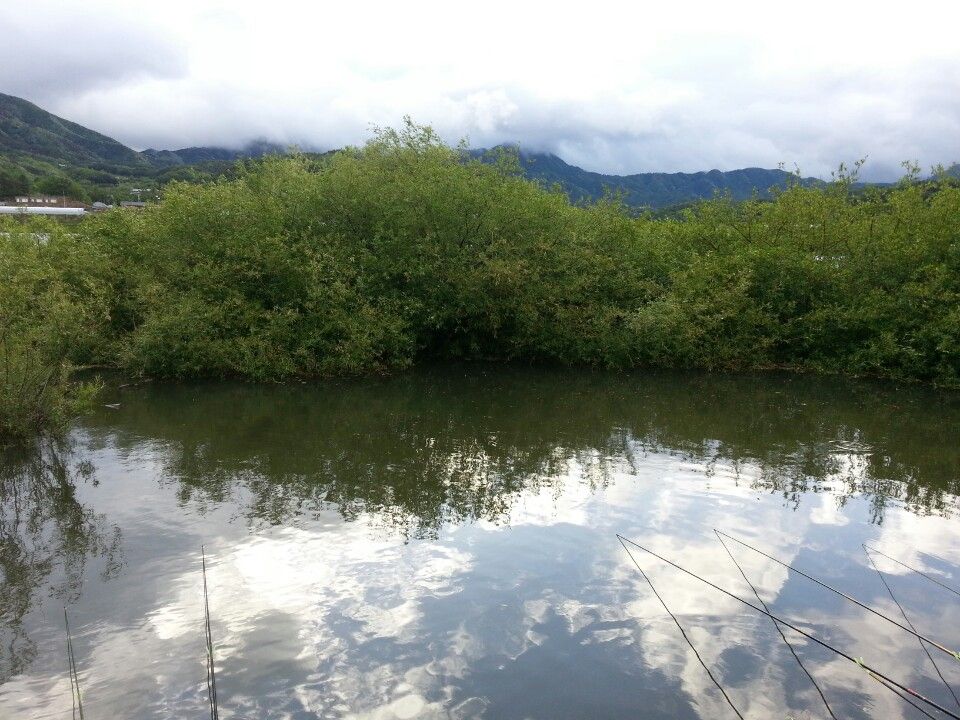 KakaoTalk_20150512_154254425.jpg