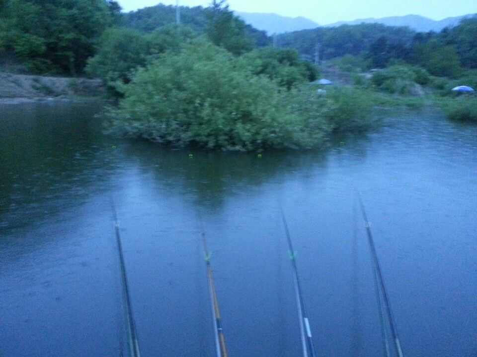 KakaoTalk_20150512_154254567.jpg