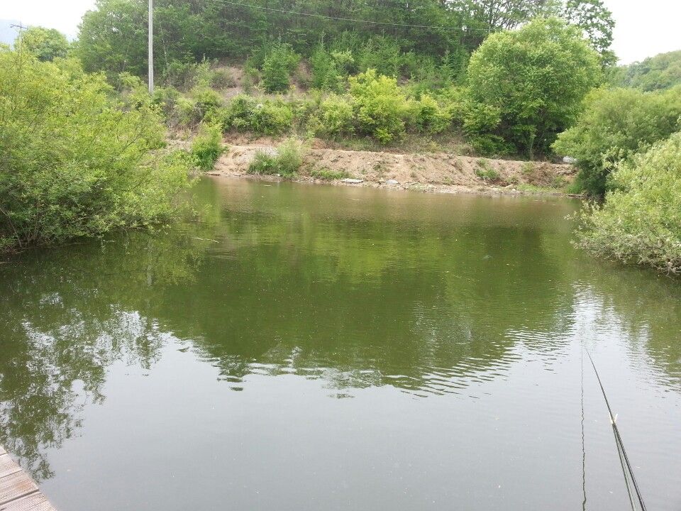 KakaoTalk_20150512_154255728.jpg