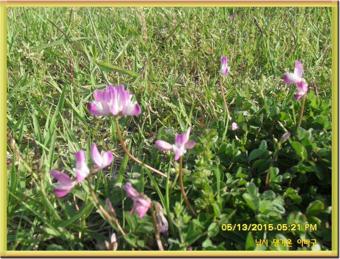 �ٹ̱�_SDC13480.jpg