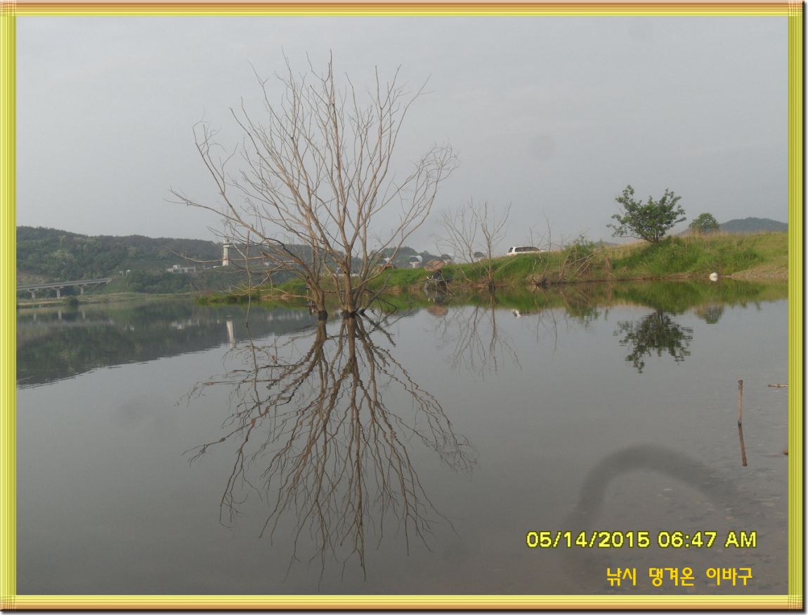 �ٹ̱�_SDC13490.jpg