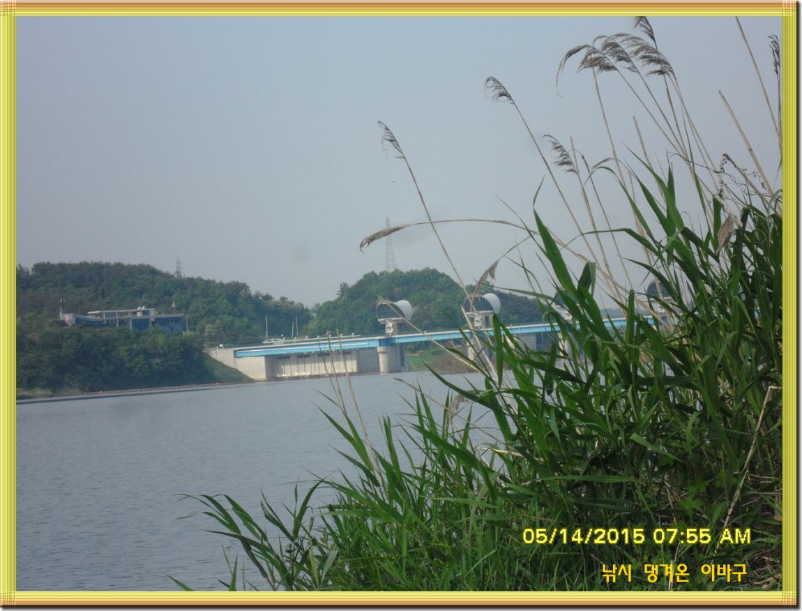 �ٹ̱�_SDC13492.jpg
