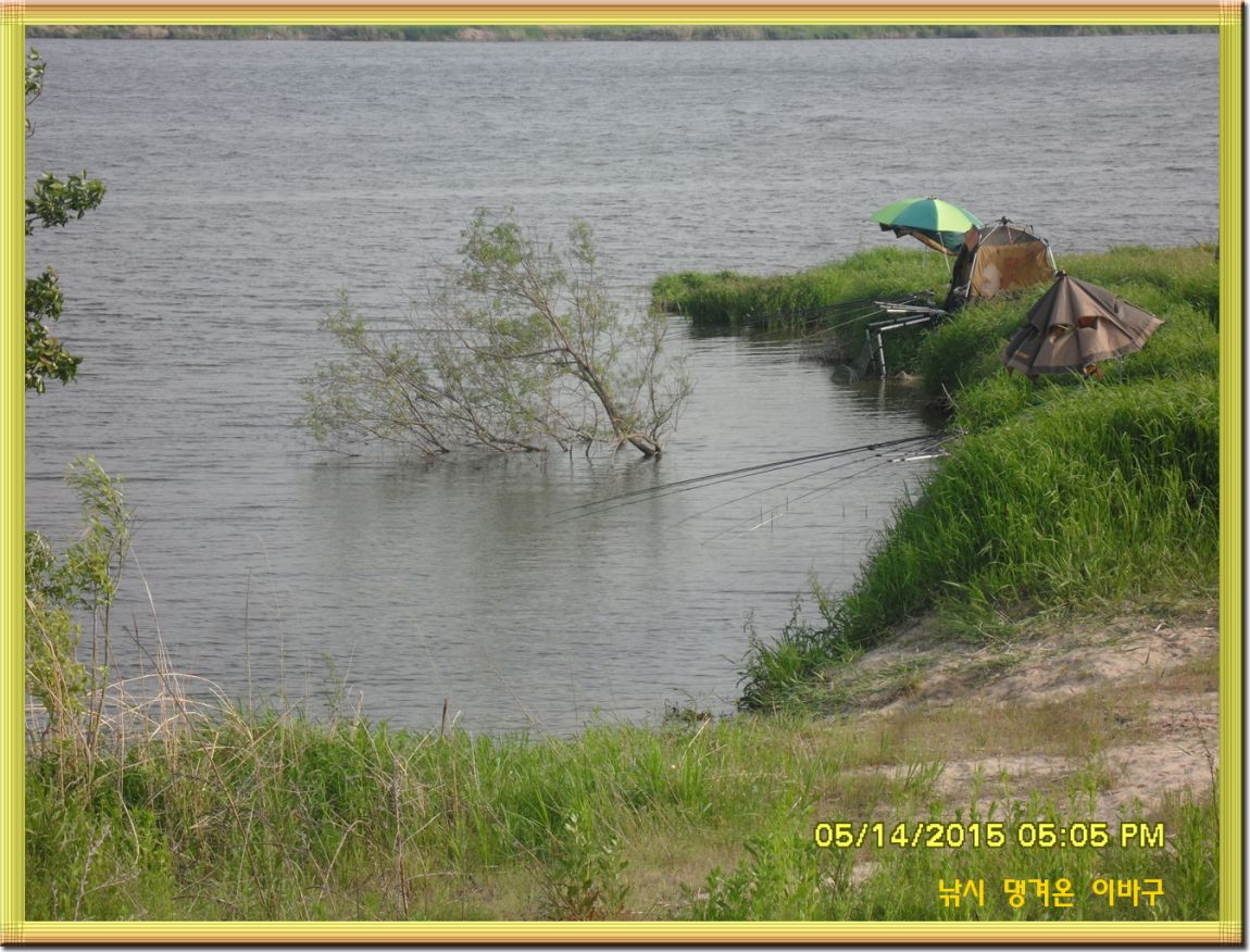 �ٹ̱�_SDC13498.jpg