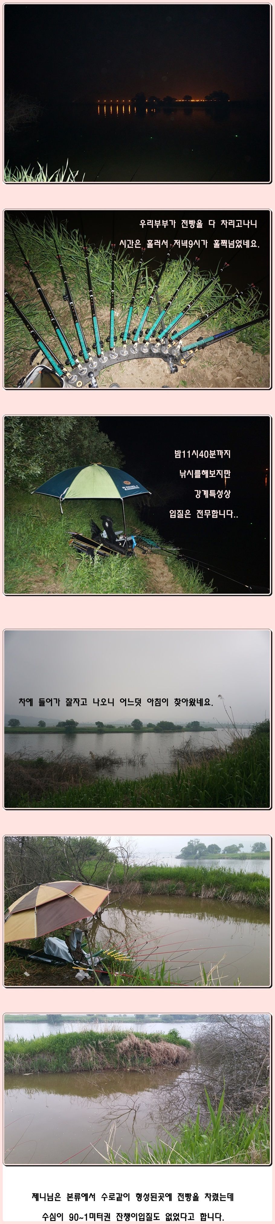 cats (7)-vert-vert.jpg