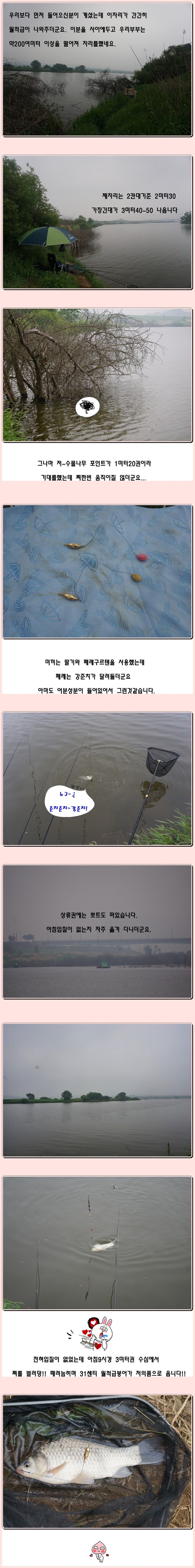 cats (13)-vert-vert.jpg