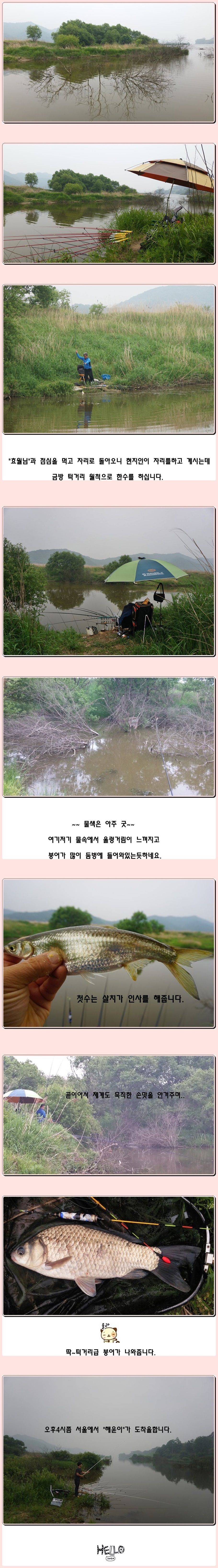 cats (31)-vert-vert.jpg