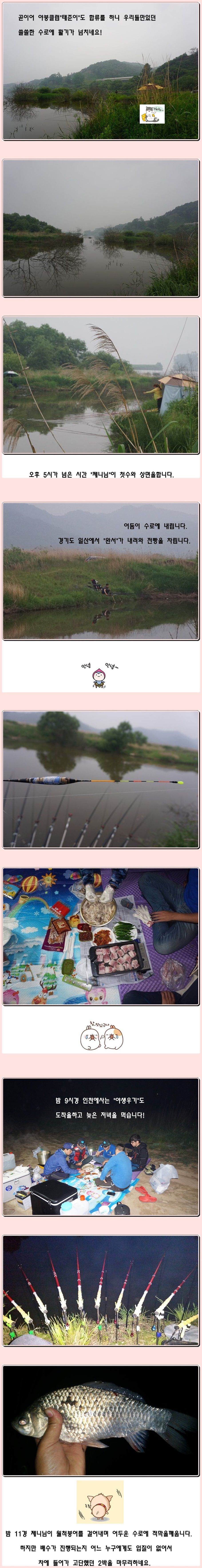 cats (40)-vert-vert.jpg