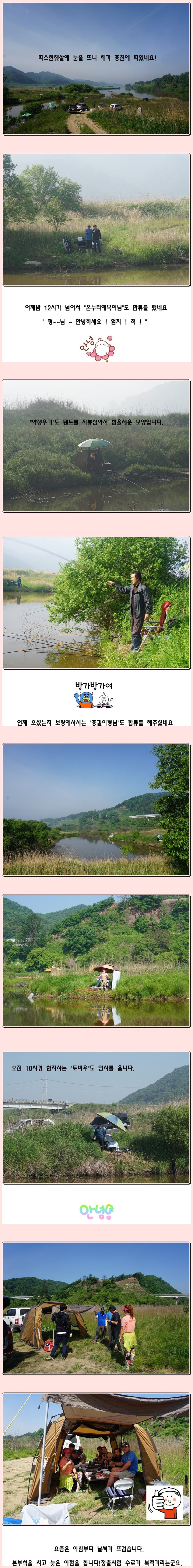 cats (49)-vert-vert.jpg