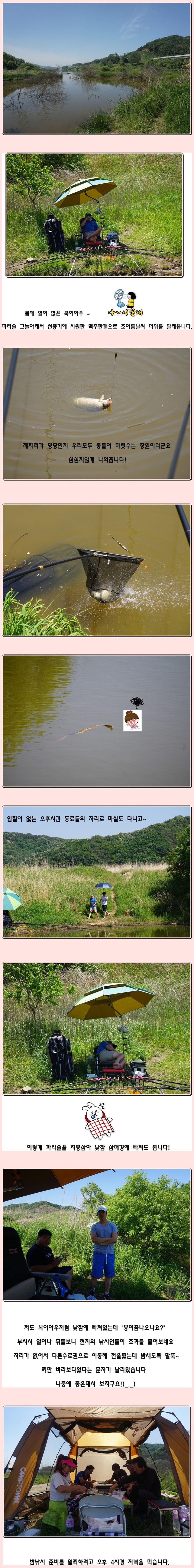 cats (58)-vert-vert.jpg