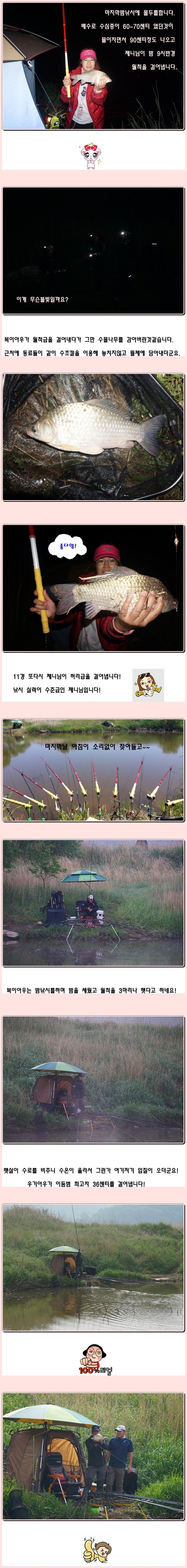 cats (76)-vert-vert.jpg