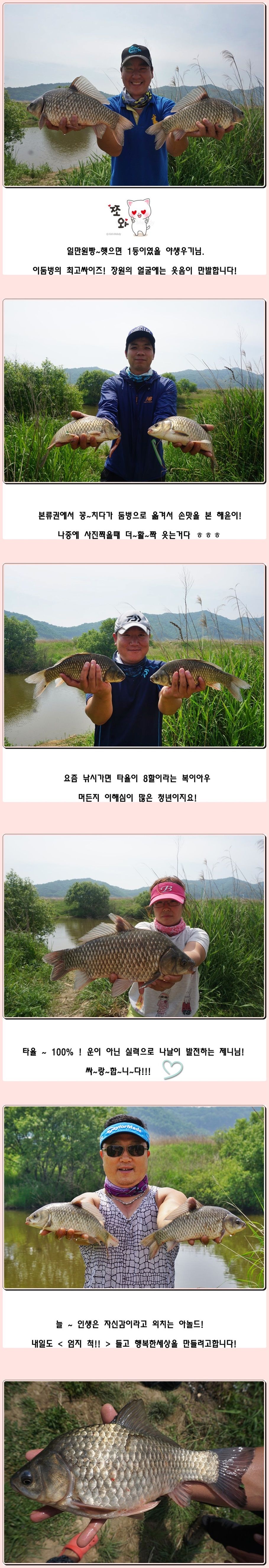 cats (94)-vert-vert.jpg