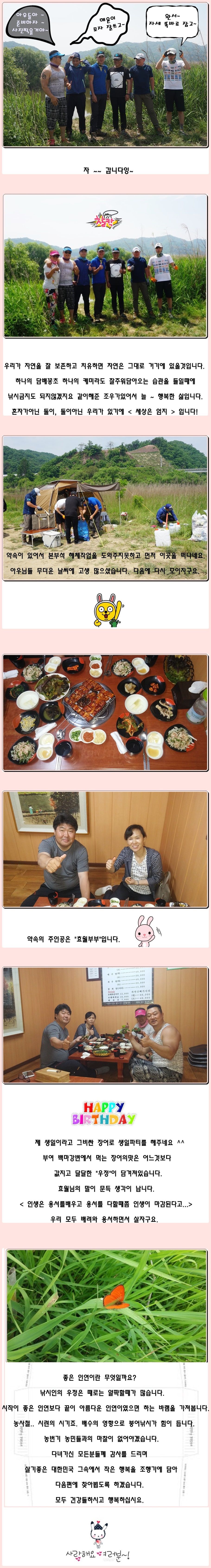 cats (100)-vert-vert.jpg