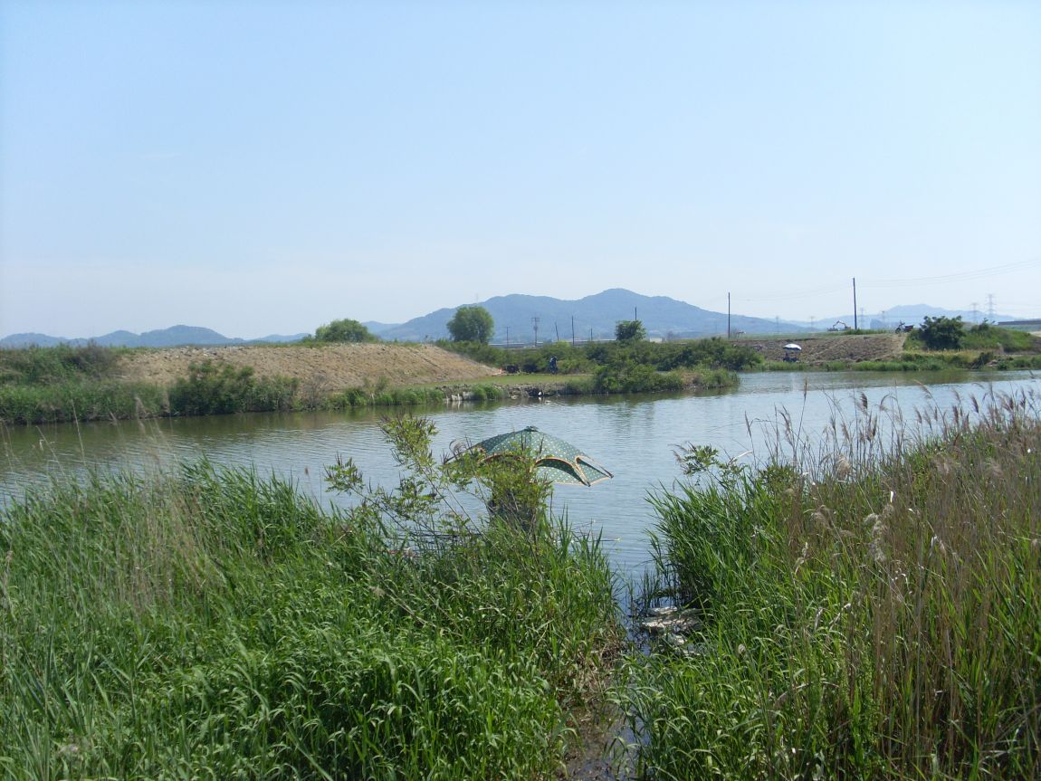 SL381846.JPG