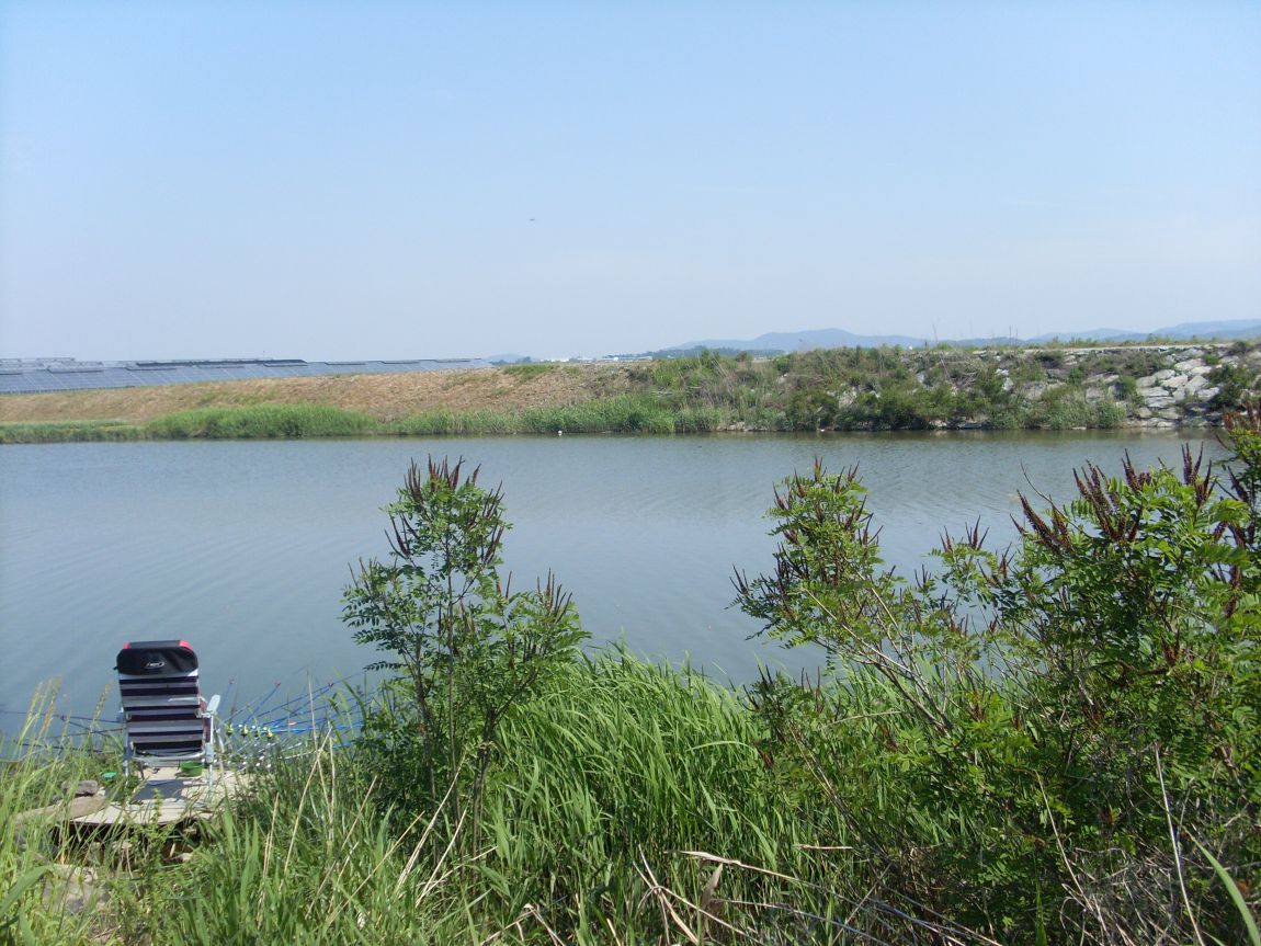 SL381849.JPG