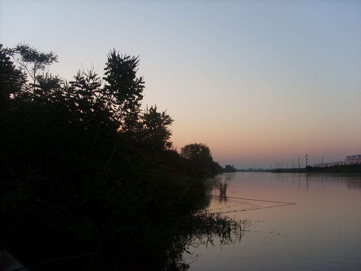 SL381852.JPG