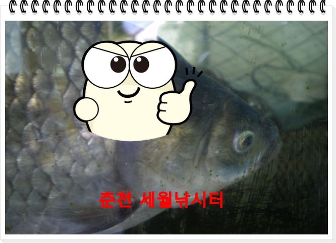 �ٹ̱�_314.JPG