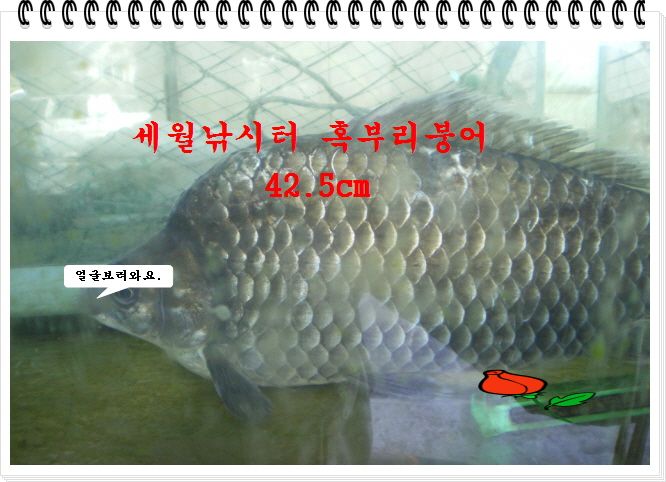 �ٹ̱�_323.JPG
