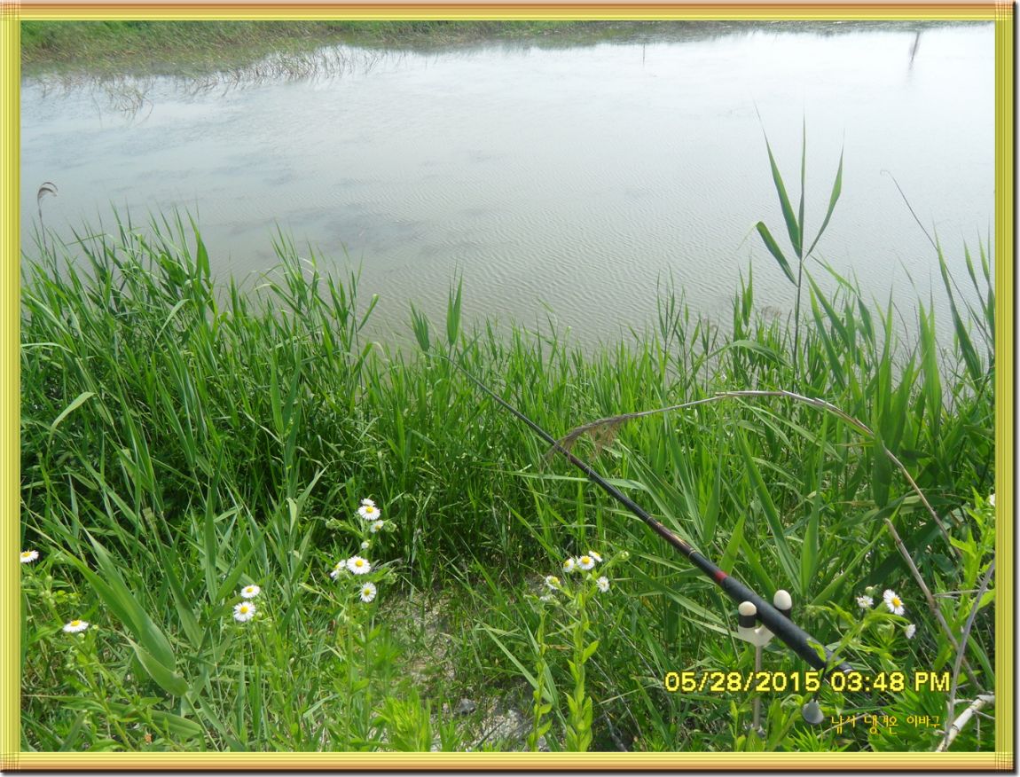 ٹ̱_SDC13805.jpg