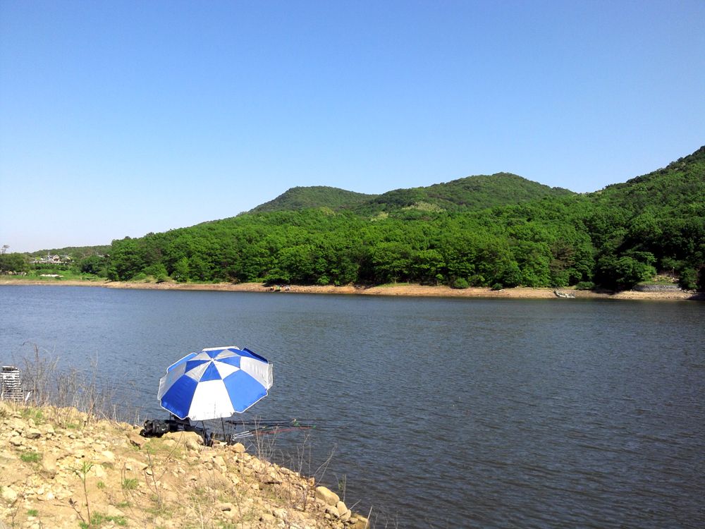 2015-05-23 15.51.06.jpg