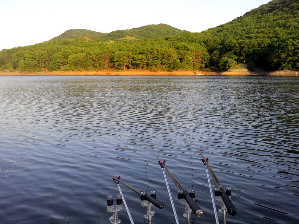 2015-05-23 19.02.09.jpg