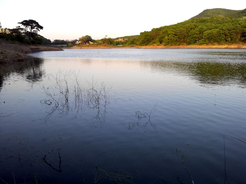 2015-05-23 19.09.01.jpg