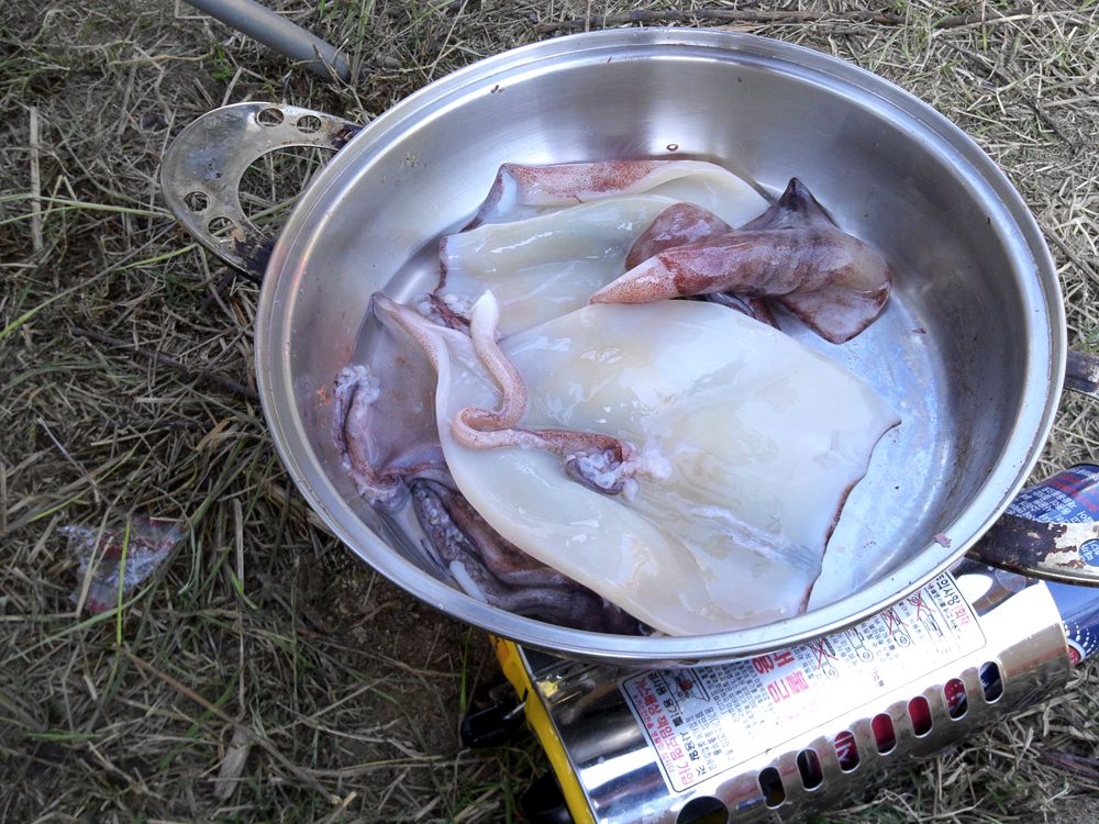 2015-05-24 09.32.22.jpg