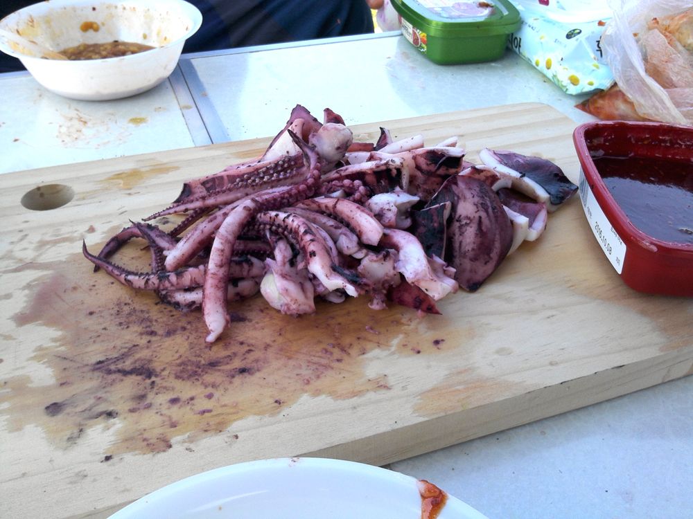 2015-05-24 09.42.21.jpg