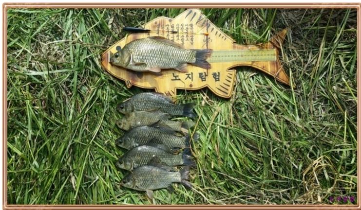 2015-06-01 18;36;25.jpg