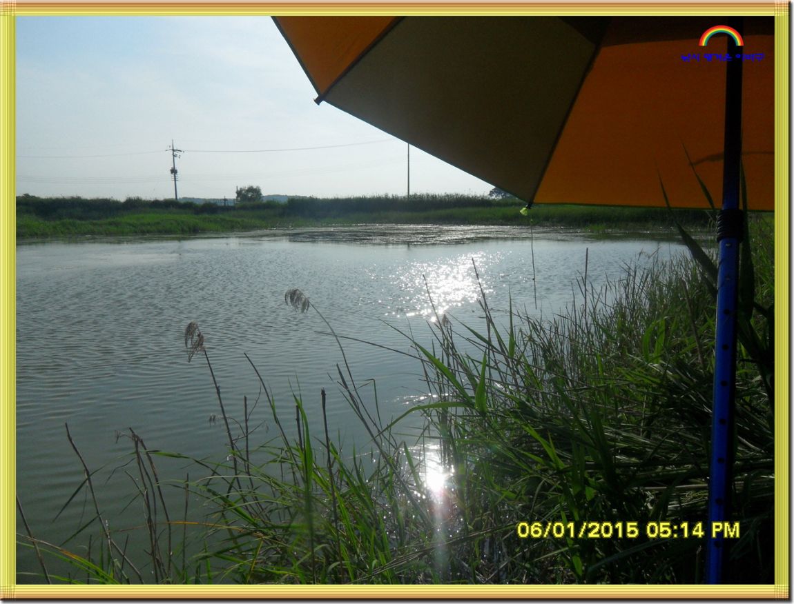 ٹ̱_SDC13860.jpg