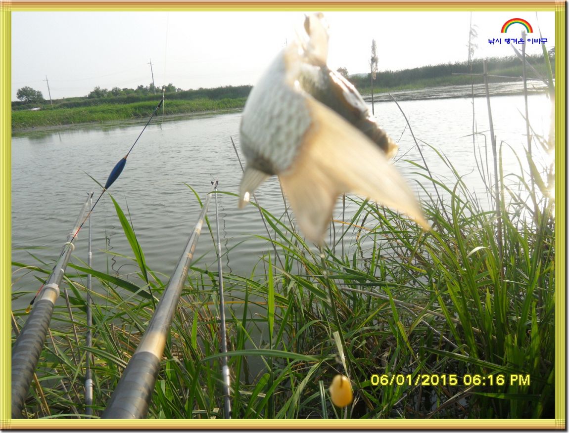 ٹ̱_SDC13867.jpg