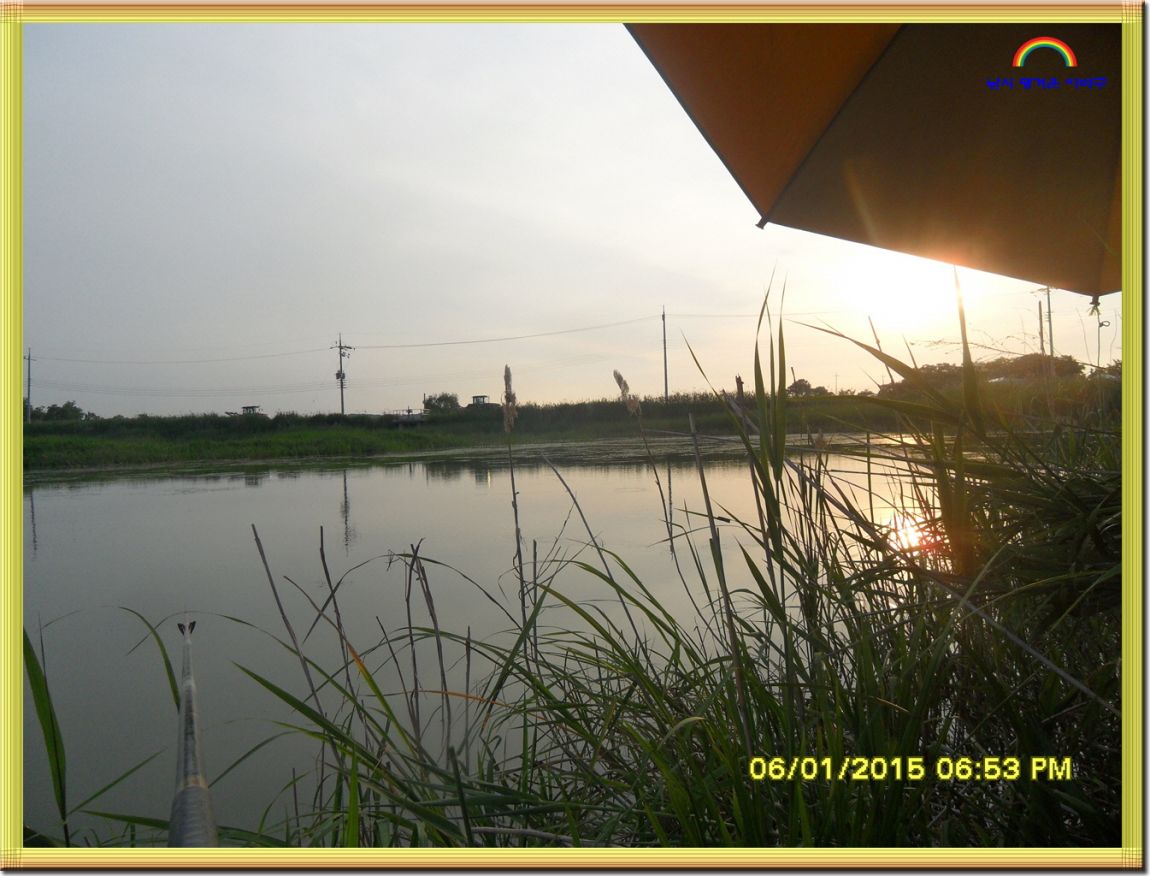 ٹ̱_SDC13874.jpg