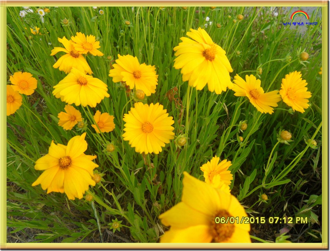 ٹ̱_SDC13879.jpg