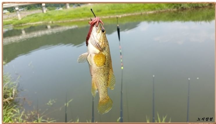 2015-06-08 17;34;55.jpg