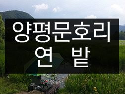 2014_04_261.jpg