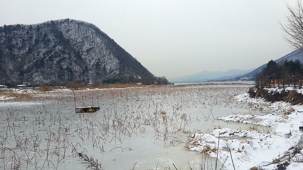 2014_04_2615.jpg