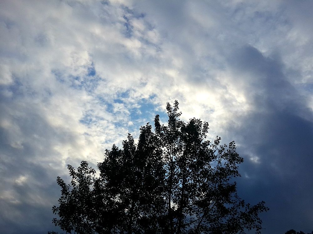2014_04_2617.jpg